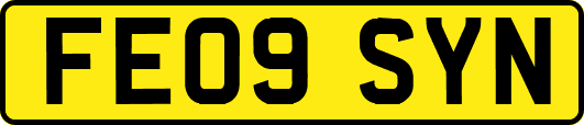 FE09SYN