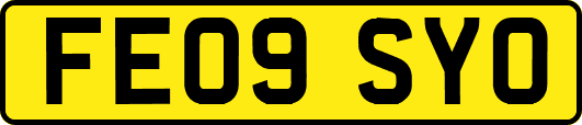 FE09SYO