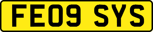 FE09SYS