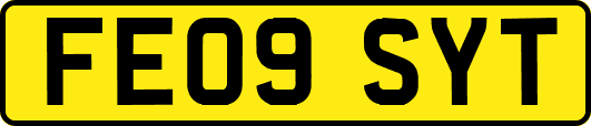 FE09SYT