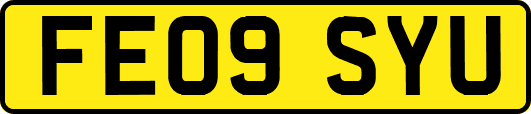FE09SYU