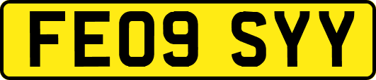 FE09SYY