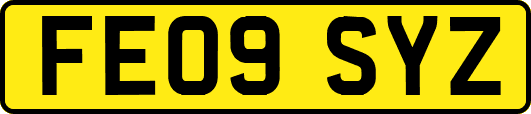 FE09SYZ