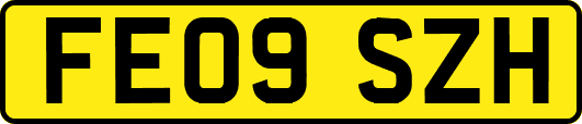 FE09SZH