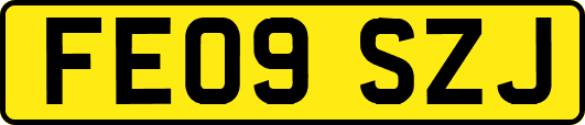 FE09SZJ