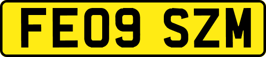 FE09SZM