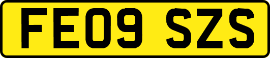 FE09SZS