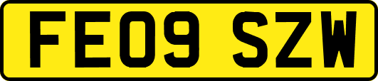 FE09SZW