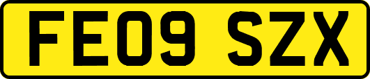 FE09SZX