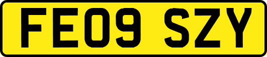 FE09SZY