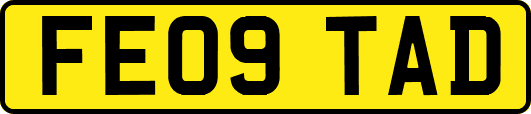 FE09TAD