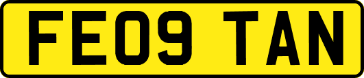 FE09TAN
