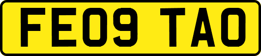 FE09TAO