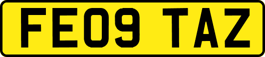 FE09TAZ