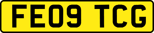 FE09TCG