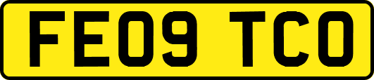 FE09TCO