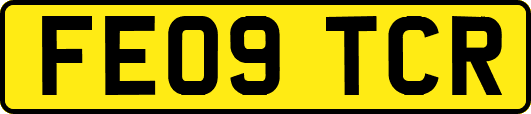 FE09TCR