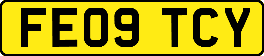 FE09TCY