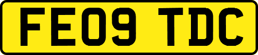 FE09TDC