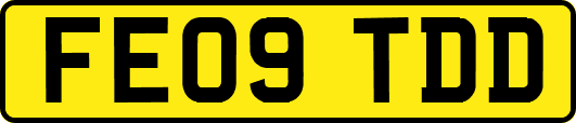 FE09TDD