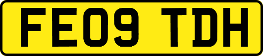 FE09TDH