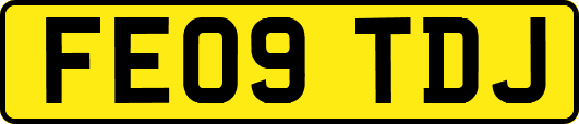 FE09TDJ