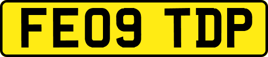 FE09TDP
