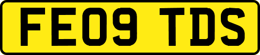 FE09TDS