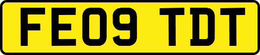 FE09TDT