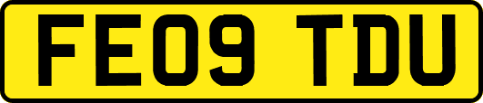 FE09TDU