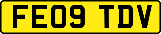 FE09TDV