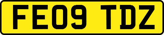 FE09TDZ