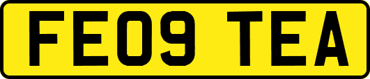 FE09TEA