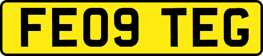 FE09TEG