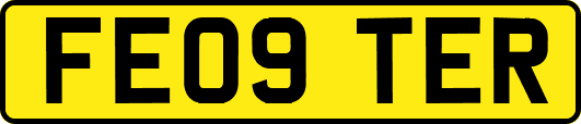 FE09TER