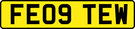 FE09TEW