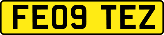 FE09TEZ