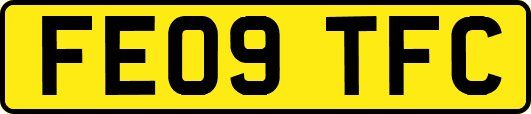 FE09TFC