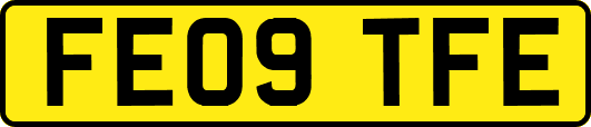 FE09TFE