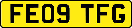 FE09TFG