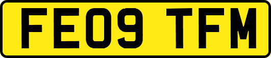FE09TFM