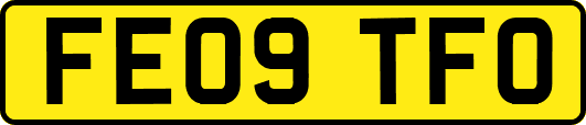 FE09TFO