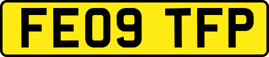 FE09TFP