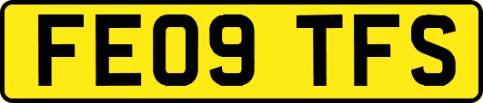 FE09TFS