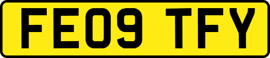 FE09TFY