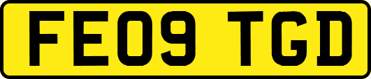 FE09TGD