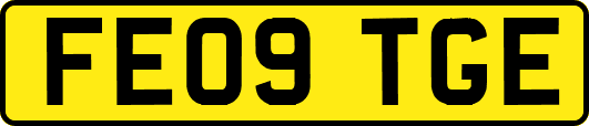 FE09TGE
