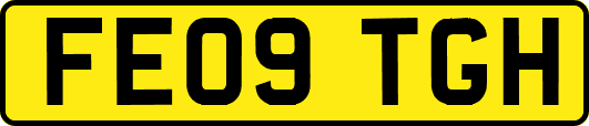 FE09TGH