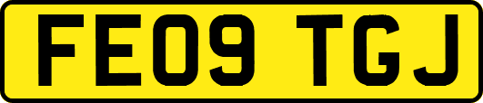 FE09TGJ