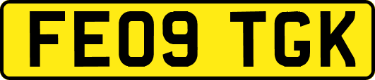 FE09TGK